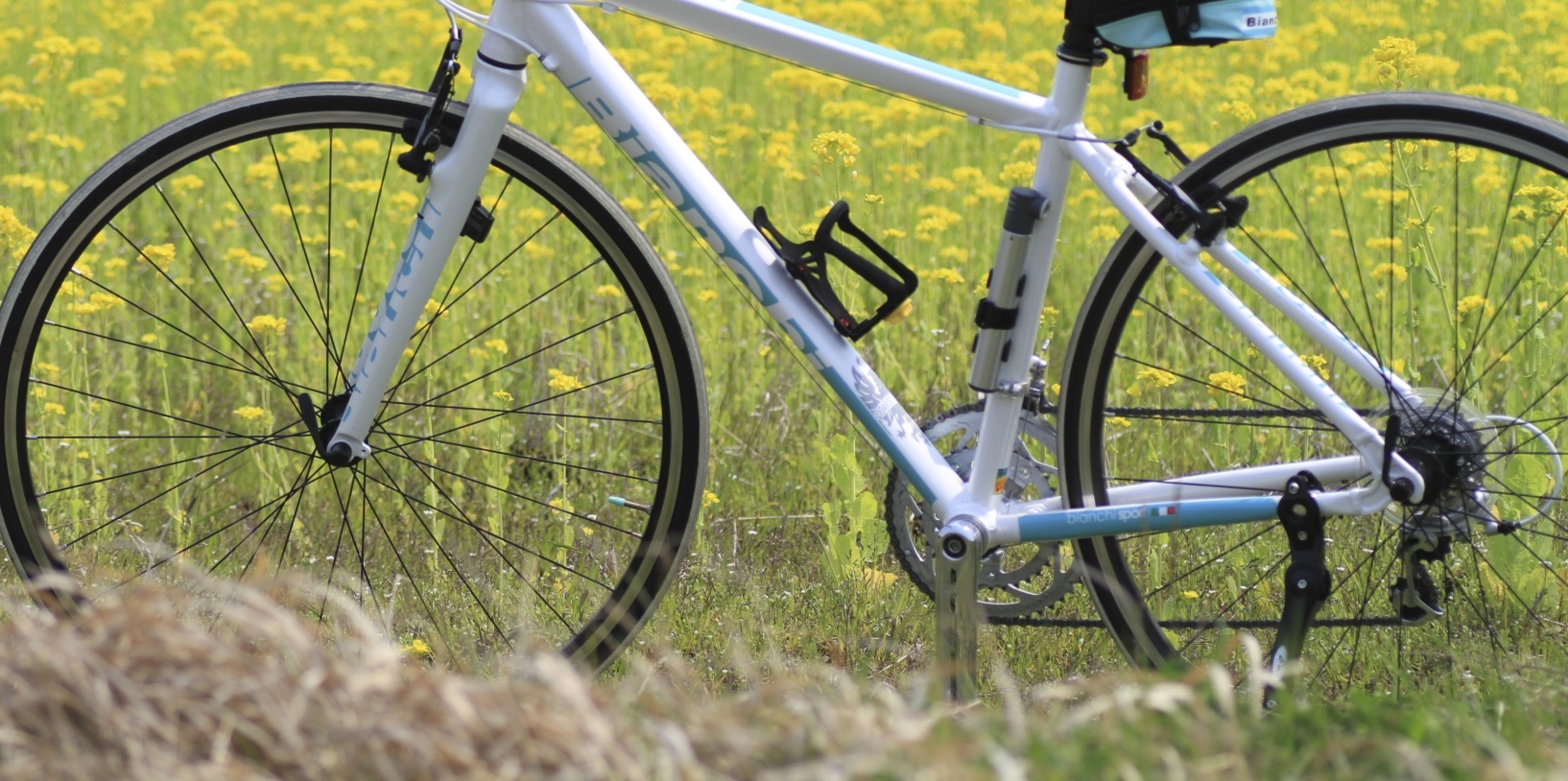 トレックのロードバイクの評判と性能│BICYCLE POST