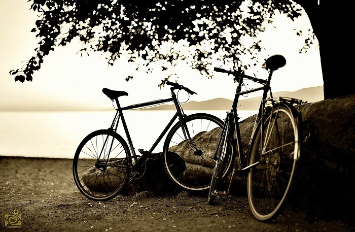 家族でツーリング、ジャイアントの自転車ならキッズも本格派