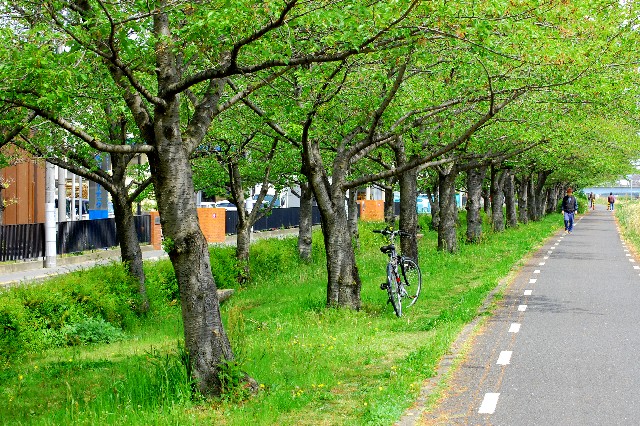 愛知県のロードバイクコースを巡ろう！