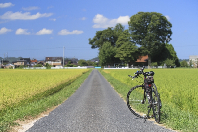 仙台から東京まで自転車で行くのに必要な装備や日程は？