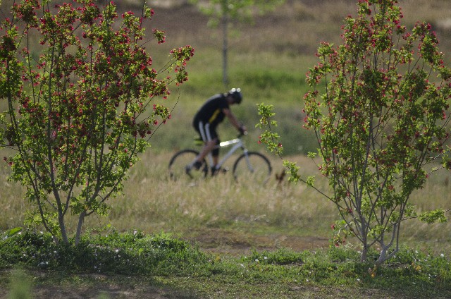王滝のmtbレース、42kmってどうなの？準備や対策は？