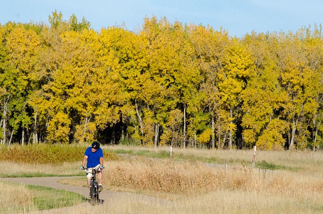 mtbをメンテしよう！ボルトの種類とメンテ法は知ってる？│BICYCLE POST