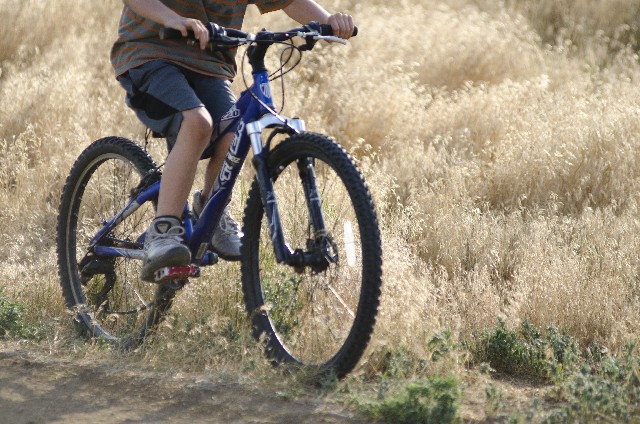 mtbでdhしてみたい！！体験、スクールはどこでやるの！？